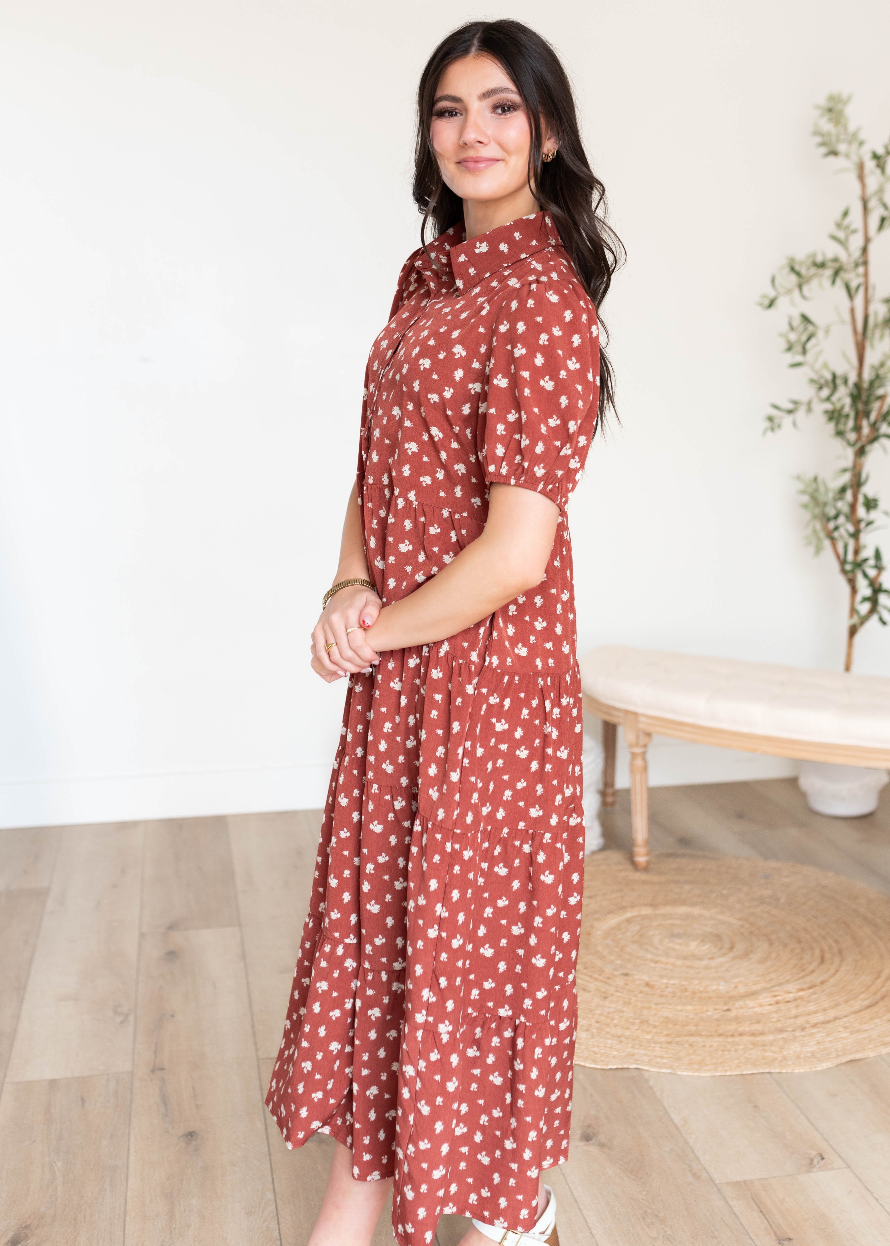 Phoebe Terracotta Collared Dress
