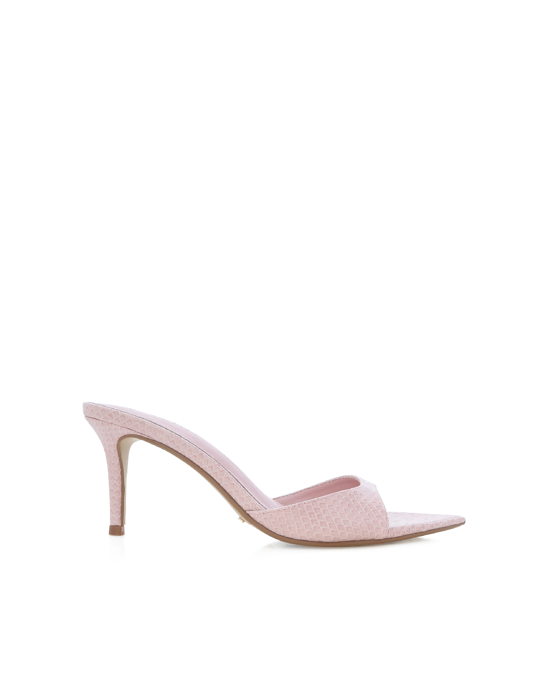 ENSLEY - BLUSH SCALE