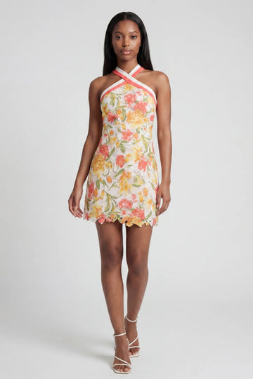Harper Embroidered Floral Mini Dress